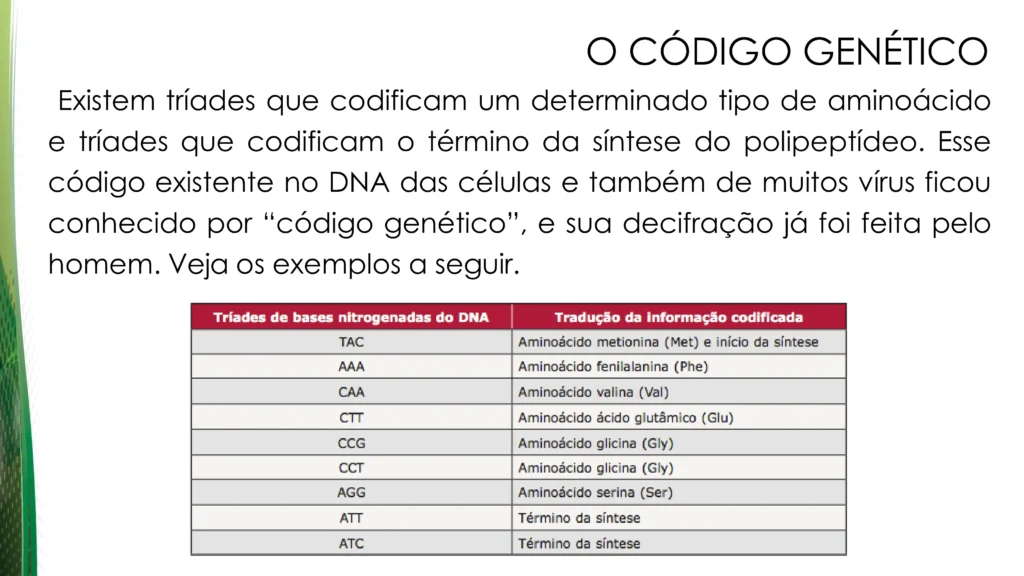 d2feee37-3944-46b4-8c19-806e28f40a83-0010