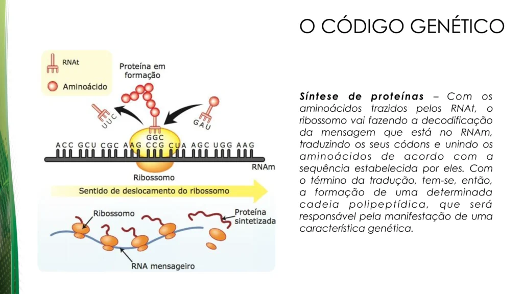 d2feee37-3944-46b4-8c19-806e28f40a83-0017