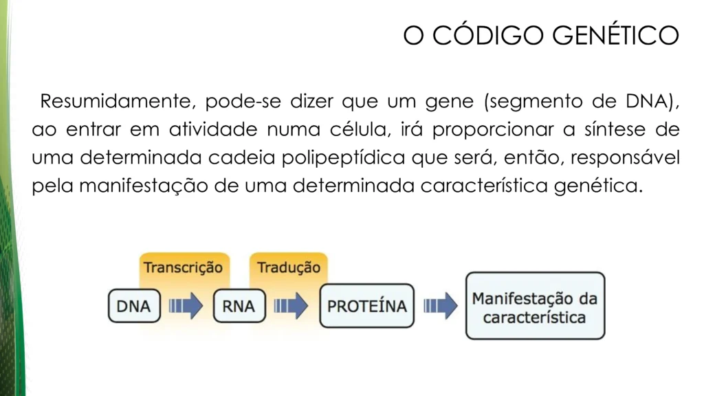 d2feee37-3944-46b4-8c19-806e28f40a83-0018