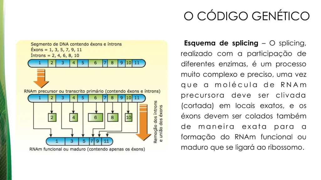 d2feee37-3944-46b4-8c19-806e28f40a83-0021