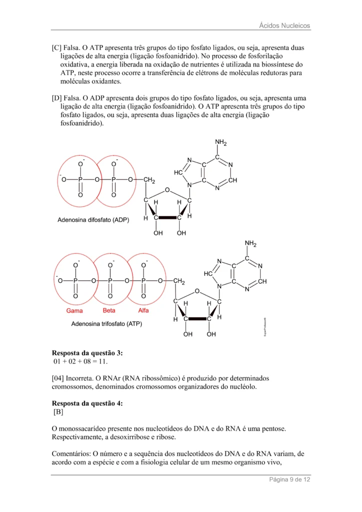 ee48c35b-ec31-40b6-a2e8-b7d2948f77f4-0008